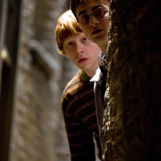 Ron, l'amico di Harry Potter, contagiato da virus nuova influenza Ron, l'amico di Harry Potter, contagiato da virus nuova influenza