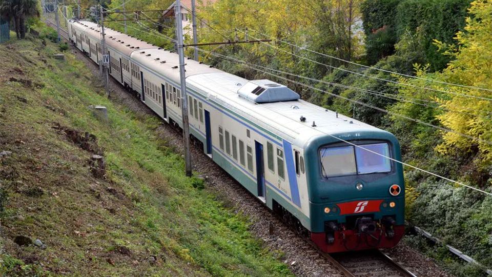 Cervo investito ritardi sui binari Cervo investito ritardi sui binari