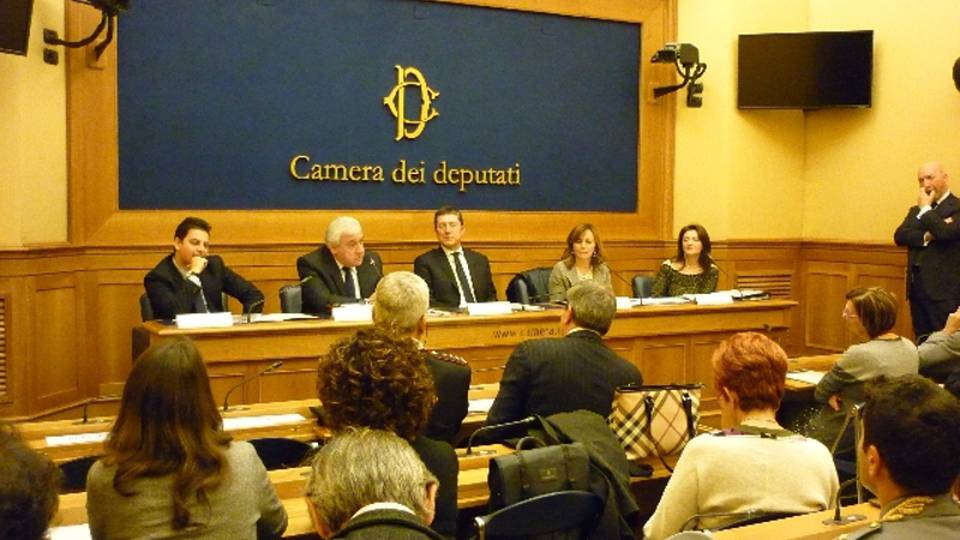 Gruppo Fi vedrà Cav, sospendere riforme Gruppo Fi vedrà Cav, sospendere riforme