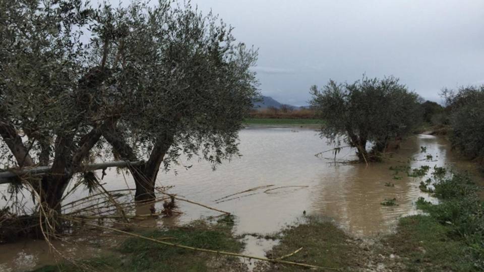 Maltempo al centro-sud, esonda il Sele Maltempo al centro-sud, esonda il Sele