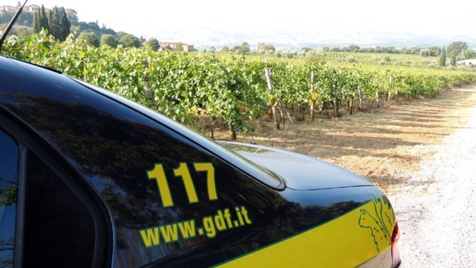 Truffa a Ue e Stato,sequestro beni 5 mln Truffa a Ue e Stato,sequestro beni 5 mln