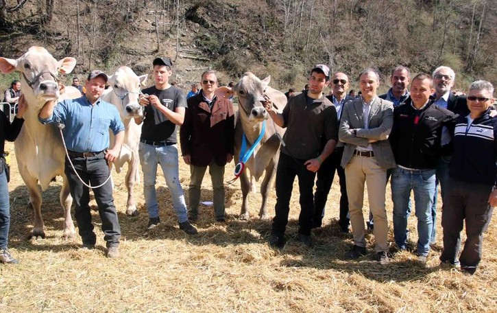 Duemila visitatori alla “maxi fattoria” spuntata a Tornadù