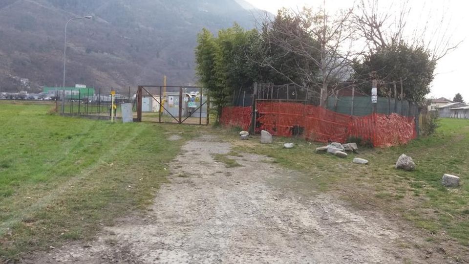 Quarto controllo: «Quel cane non è sofferente» Quarto controllo: «Quel cane non è sofferente»