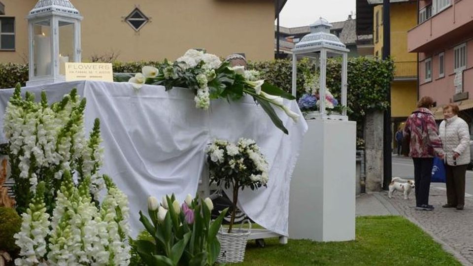 La primavera è sbocciata a Morbegno La primavera è sbocciata a Morbegno