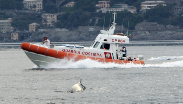 Migranti: 249 soccorsi al largo Sicilia