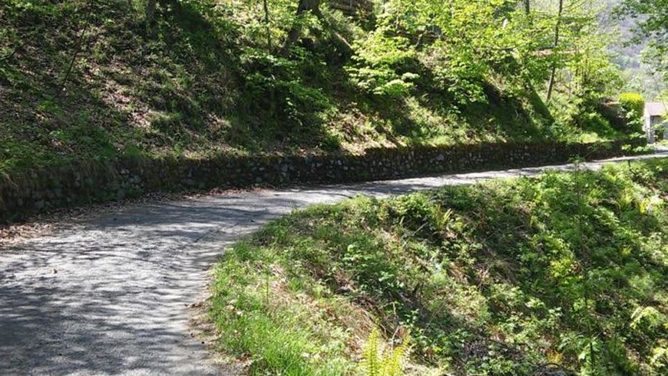 Colpito più volte al collo e al volto Il ferito con il forcone è gravissimo Colpito più volte al collo e al volto Il ferito con il forcone è gravissimo