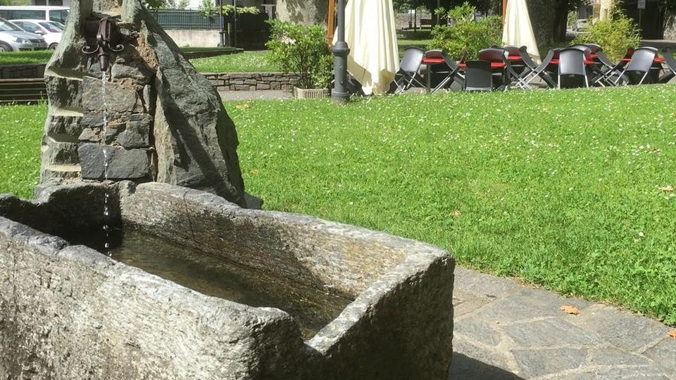 «Rifare il parco, ma senza tagliare piante» «Rifare il parco, ma senza tagliare piante»