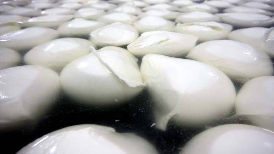 Soda caustica nel latte, arresti Soda caustica nel latte, arresti