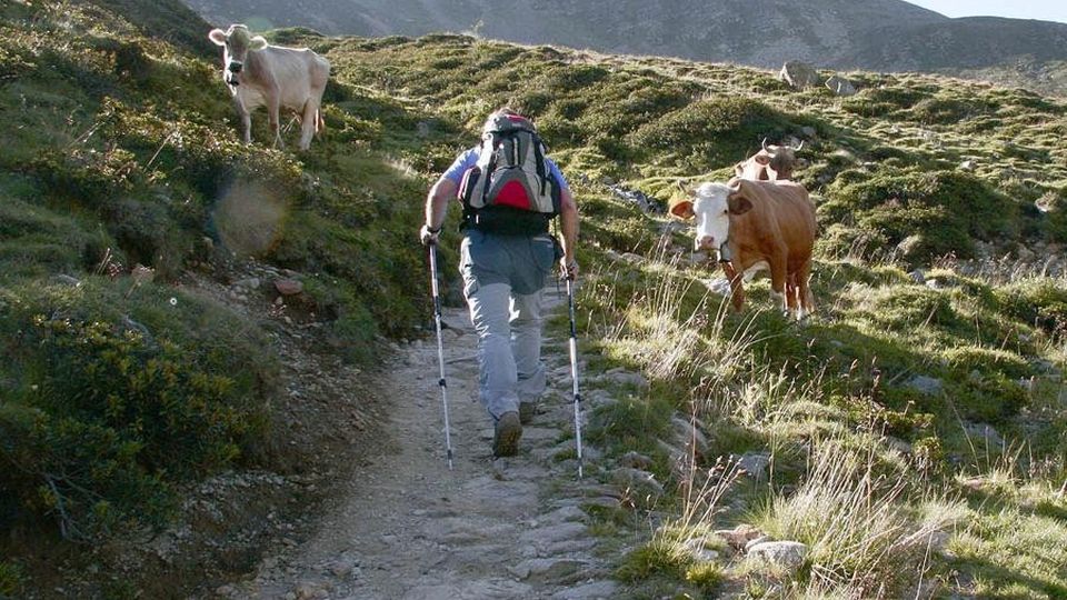 Catasto regionale per i sentieri lombardi Catasto regionale per i sentieri lombardi