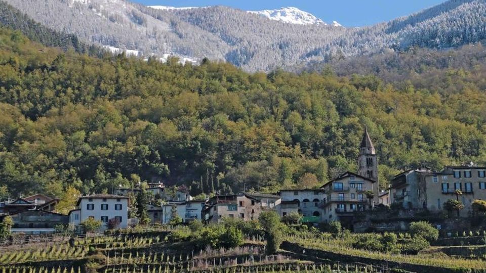 Gelo e nuove nevicate, danni per 6 milioni «E non è ancora finita» Gelo e nuove nevicate, danni per 6 milioni «E non è ancora finita»