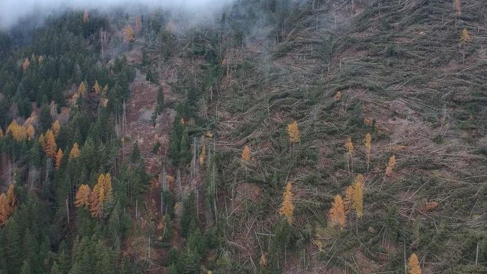 Mille ettari devastati dalla tromba d’aria Mille ettari devastati dalla tromba d’aria