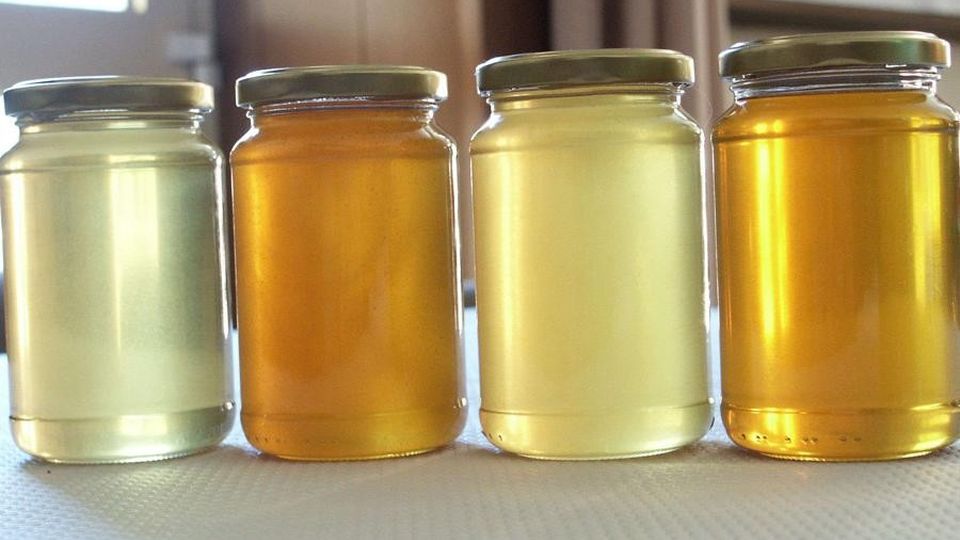 Cresce la domanda di miele e aumentano le imprese Cresce la domanda di miele e aumentano le imprese