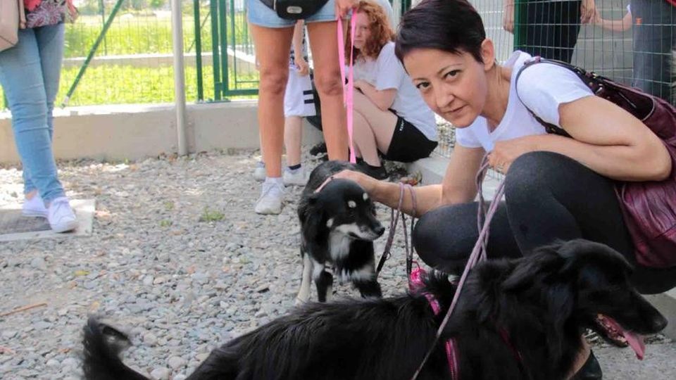 “Brilli” alla guida. Per rimediare c’è il volontariato “Brilli” alla guida. Per rimediare c’è il volontariato
