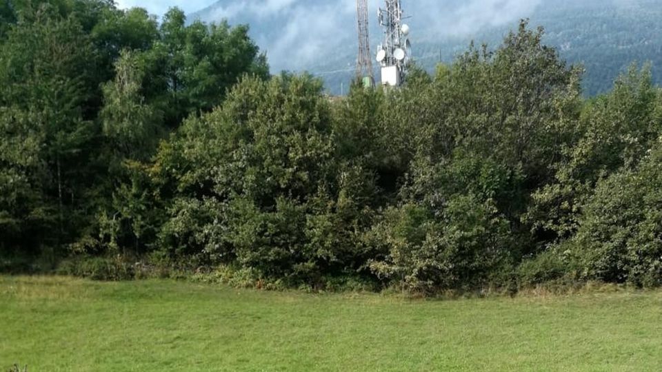 Spari vicino alla gente. Già cinque cacciatori multati Spari vicino alla gente. Già cinque cacciatori multati