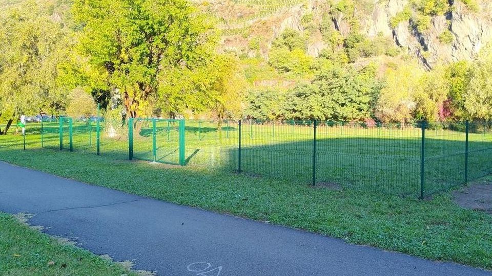 Il Comune di Sondrio apre una nuova area cani. E ne pensa già un’altra Il Comune di Sondrio apre una nuova area cani. E ne pensa già un’altra