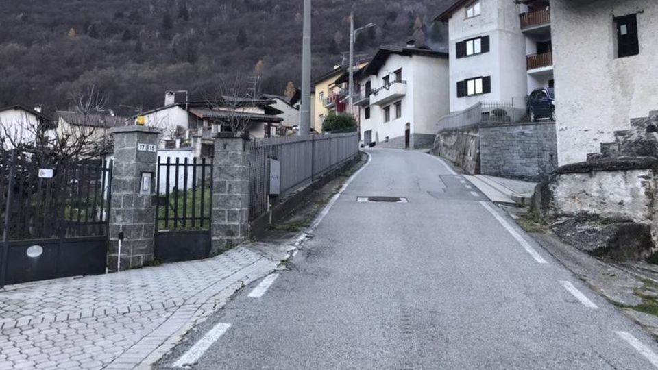 Gatti e cani picchiati e avvelenati A Cimavilla allarme tra i proprietari Gatti e cani picchiati e avvelenati A Cimavilla allarme tra i proprietari