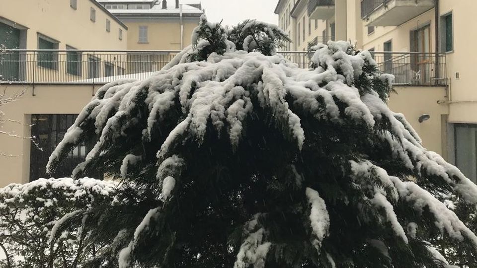 Maltempo: nevica anche in Valtellina e Valchiavenna - Passi alpini transitabili, Anas e Polstrada consigliano prudenza Maltempo: nevica anche in Valtellina e Valchiavenna - Passi alpini transitabili, Anas e Polstrada consigliano prudenza