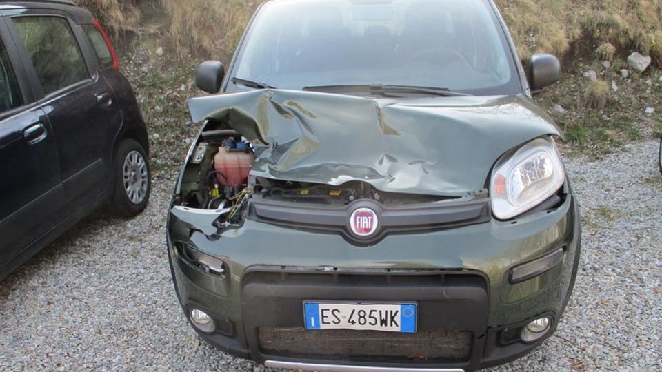 Valle Intelvi, cervo attraversa E si scontra con un’auto Valle Intelvi, cervo attraversa E si scontra con un’auto