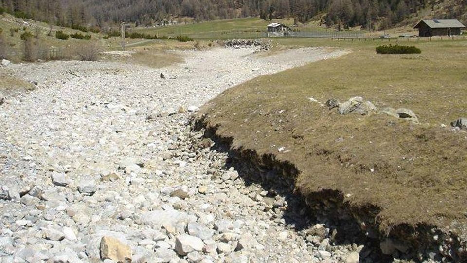Cigno nero di Legambiente a Livigno Cigno nero di Legambiente a Livigno