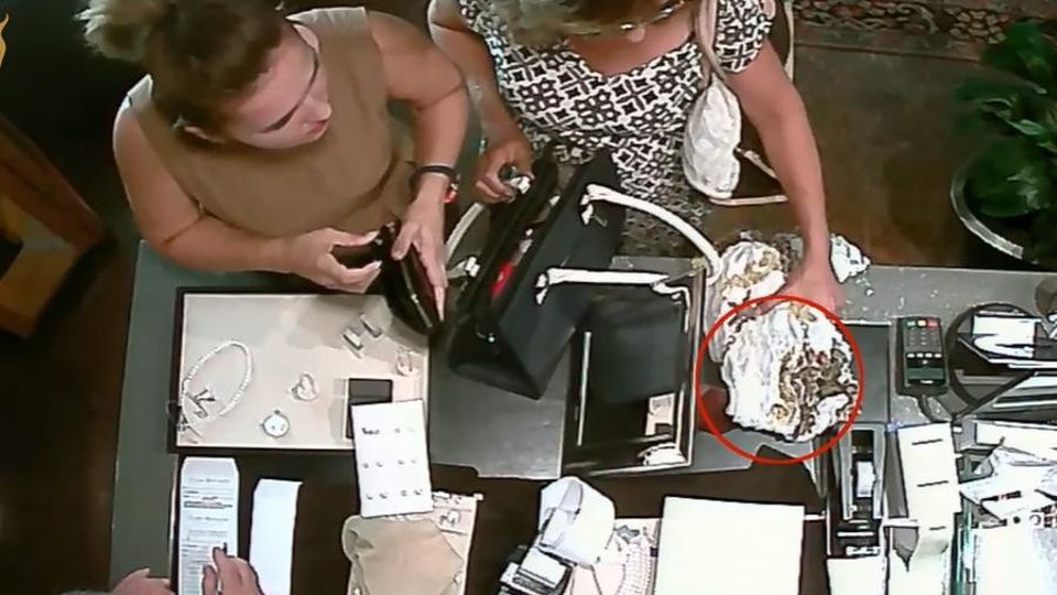 Furto in gioielleria a Sondrio, presa una ladra Furto in gioielleria a Sondrio, presa una ladra