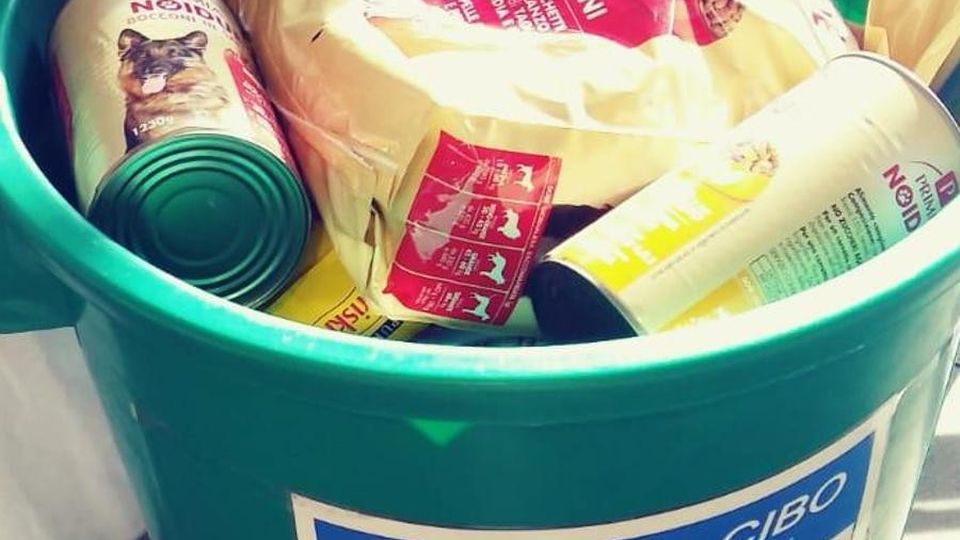 La denuncia dell’Enpa sulle donazioni «Rubano dai bidoni davanti all’Iperal» La denuncia dell’Enpa sulle donazioni «Rubano dai bidoni davanti all’Iperal»