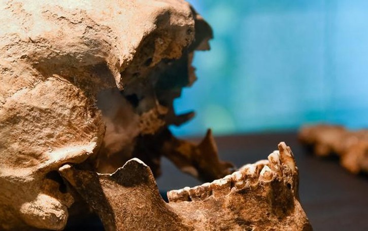 Il cranio misterioso è di Plinio il Vecchio «Ci sono le prove dopo due anni di studi»