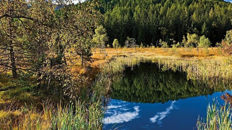 Un nuovo sentiero. Consentirà di arrivare al Pian di Gembro Un nuovo sentiero. Consentirà di arrivare al Pian di Gembro
