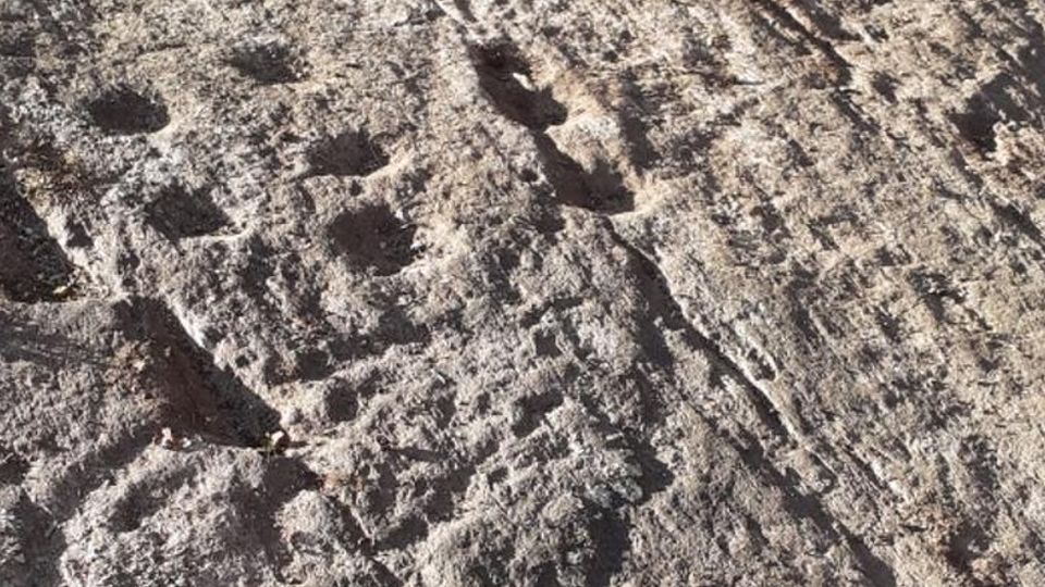 Archeologo in erba scopre delle coppelle Forse sono del Neolitico Archeologo in erba scopre delle coppelle Forse sono del Neolitico