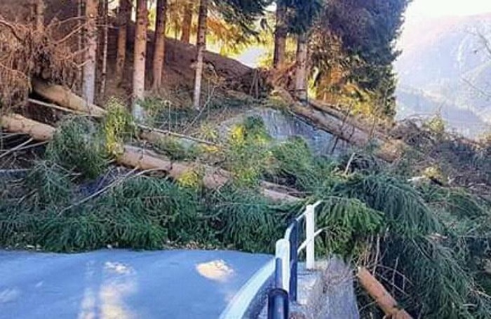 Tartano maltempo vento alberi sradicati strada interrotta