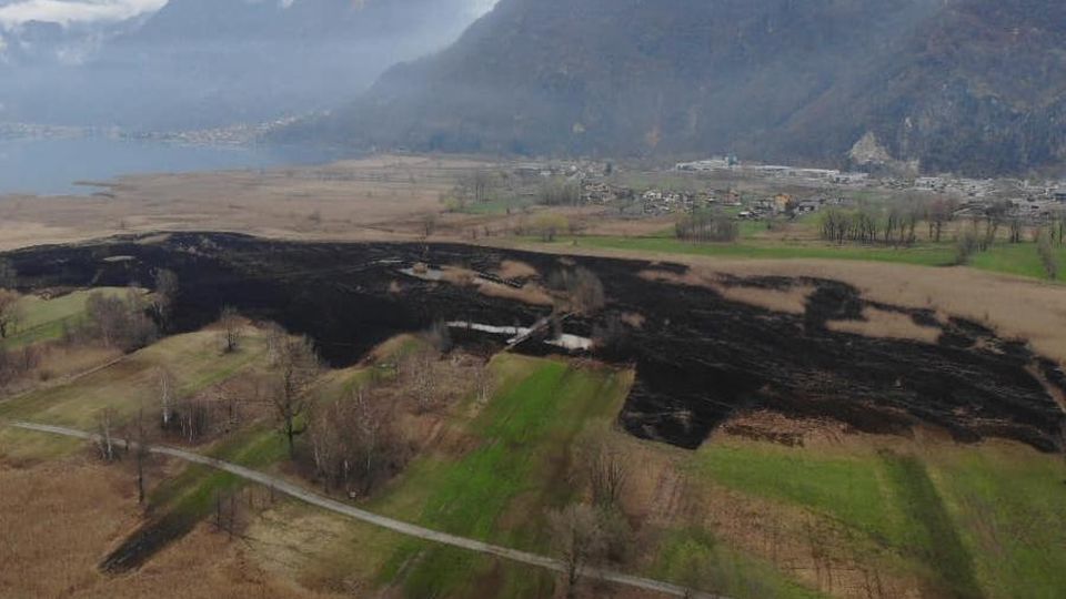 Ecco che cosa è rimasto del rogo al Pian di Spagna Ecco che cosa è rimasto del rogo al Pian di Spagna