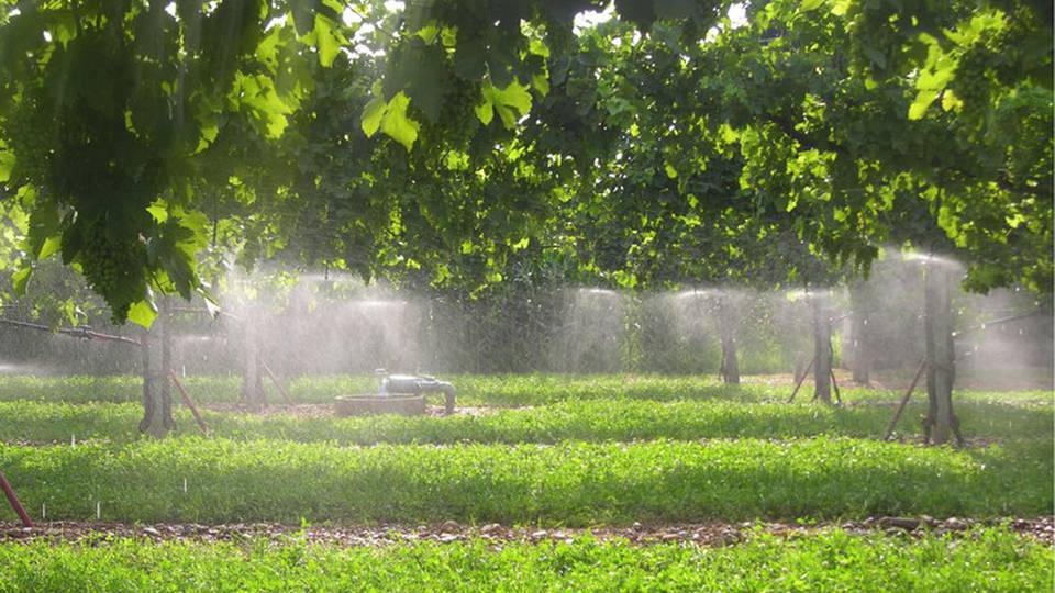 Ok Consiglio Ue a regole per riuso acque in agricoltura Ok Consiglio Ue a regole per riuso acque in agricoltura