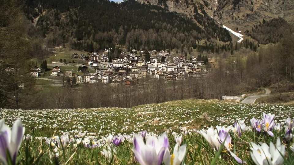 Valchiavenna Bond: pagare oggi per consumare domani Valchiavenna Bond: pagare oggi per consumare domani