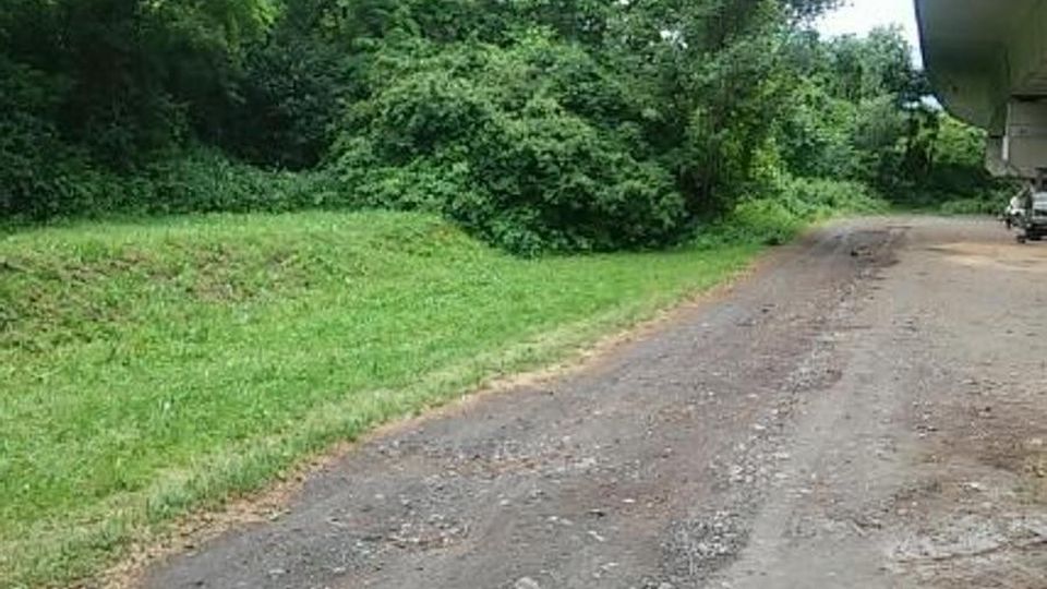 Scappano prima del macello Grosotto, abbattute due mucche Scappano prima del macello Grosotto, abbattute due mucche