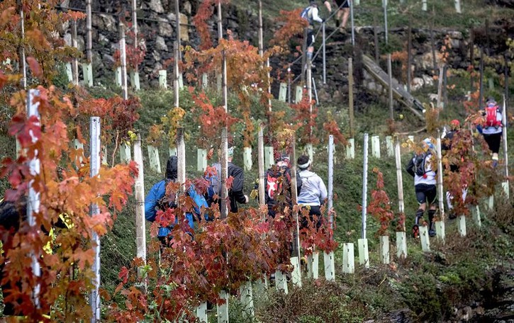 La Valle e la festa del trail Wine tra vigne e cantine