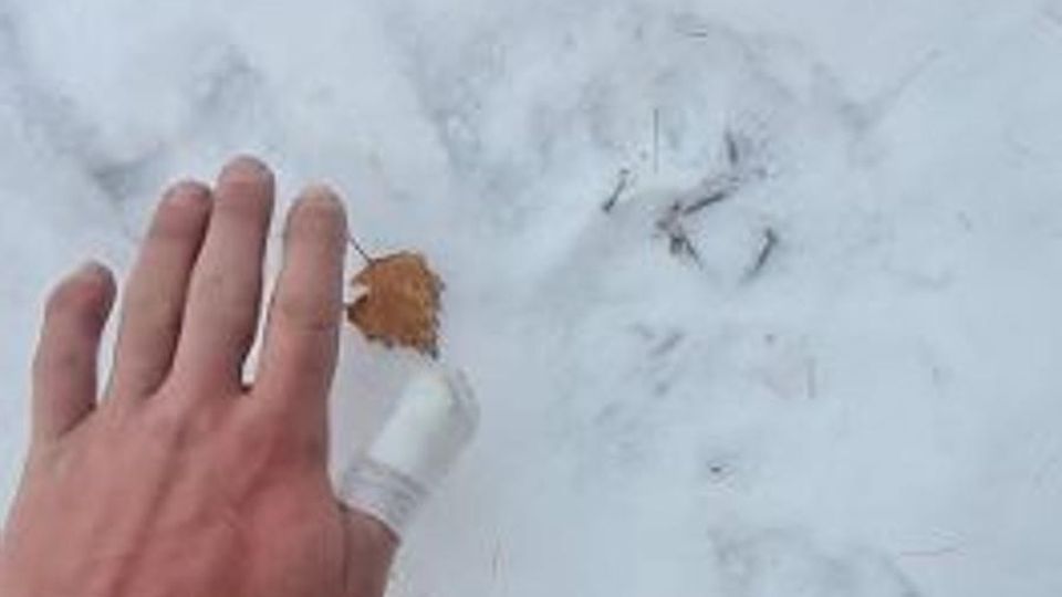 Orma nella neve Si sospetta sia di un orso Orma nella neve Si sospetta sia di un orso
