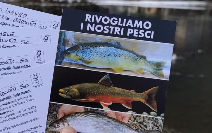 Trote al bando, una marea di cartoline