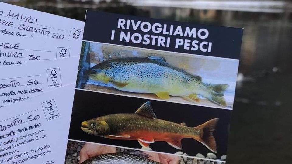 Trote al bando, una marea di cartoline Trote al bando, una marea di cartoline
