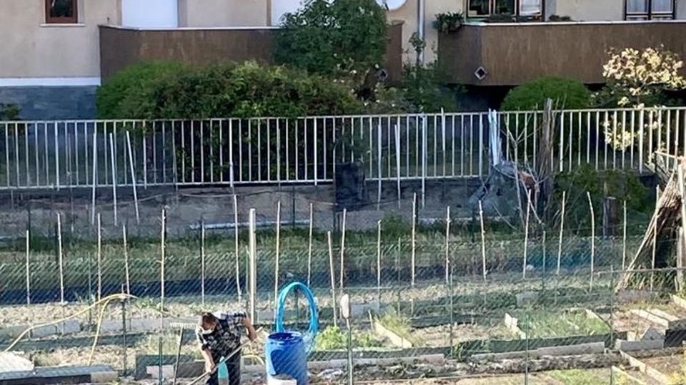 Orti per pensionati La concessione passa da 2 a 4 anni Orti per pensionati La concessione passa da 2 a 4 anni