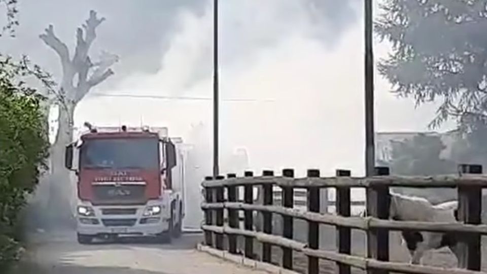 Allarme vento Raffiche a 90 km rischio incendi Allarme vento Raffiche a 90 km rischio incendi