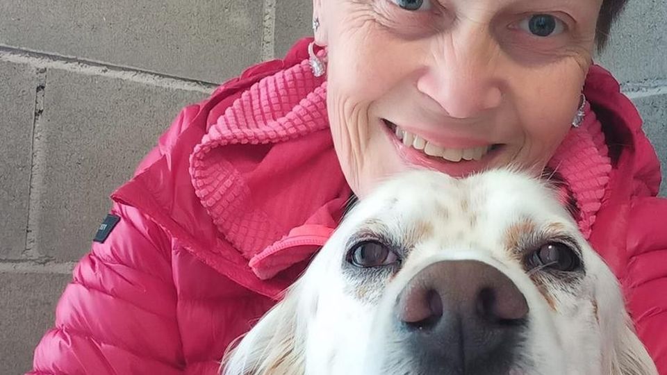 Il cane Lucky torna a vedere «È un grande traguardo» Il cane Lucky torna a vedere «È un grande traguardo»