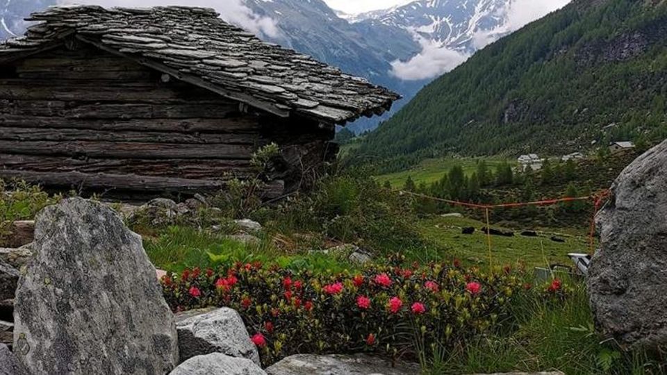 «Quell’orso fa paura Ma non vogliamo che sia abbattuto» «Quell’orso fa paura Ma non vogliamo che sia abbattuto»