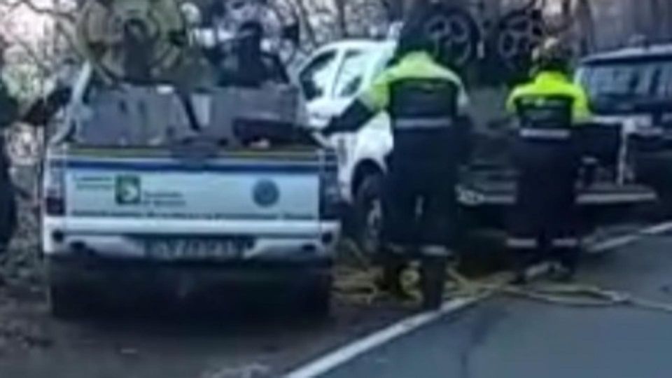 Incendi nei boschi Caccia al piromane Incendi nei boschi Caccia al piromane