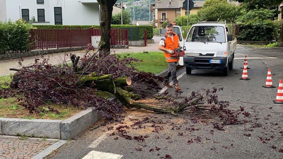 Vento e pioggia, Alberi caduti e danni Vento e pioggia, Alberi caduti e danni