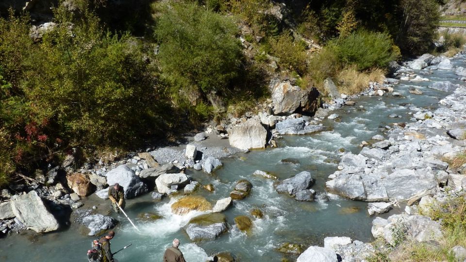Ghiacciai sciolti, l’acqua è torbida e i pesci muoiono Ghiacciai sciolti, l’acqua è torbida e i pesci muoiono