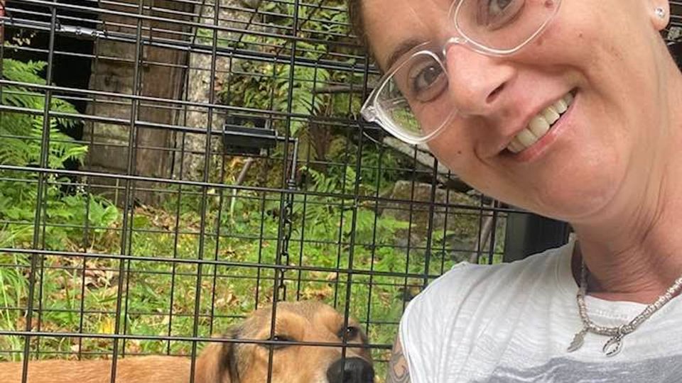 Chiavenna, ritrovata la cagnolina fuggita. Grazie a una fototrappola Chiavenna, ritrovata la cagnolina fuggita. Grazie a una fototrappola