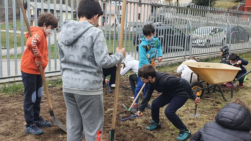 Scuola di Triangia Il giardino delle api ora è una realtà Scuola di Triangia Il giardino delle api ora è una realtà