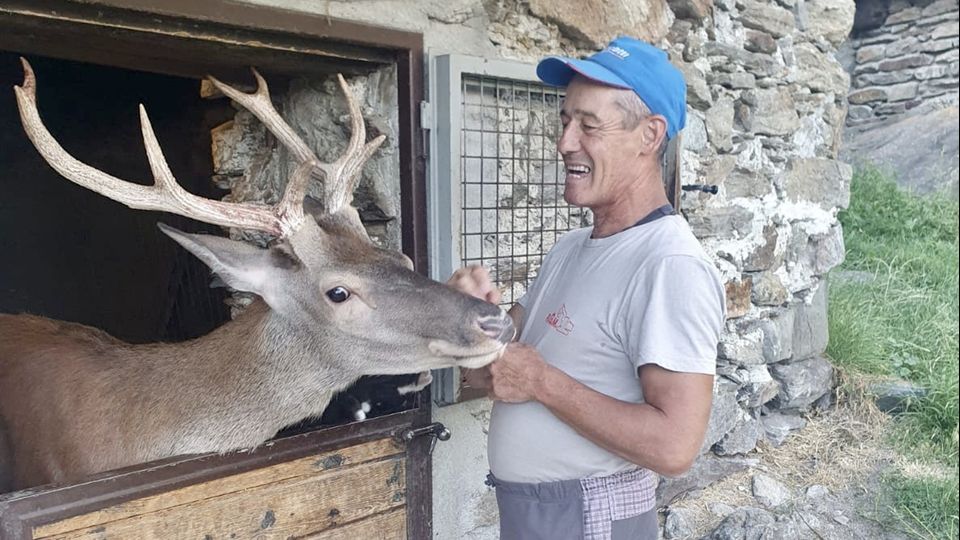 La storia di Bambi ha fatto il giro d’Italia. «Mi attrezzo, ma lasciatelo qui da me» La storia di Bambi ha fatto il giro d’Italia. «Mi attrezzo, ma lasciatelo qui da me»