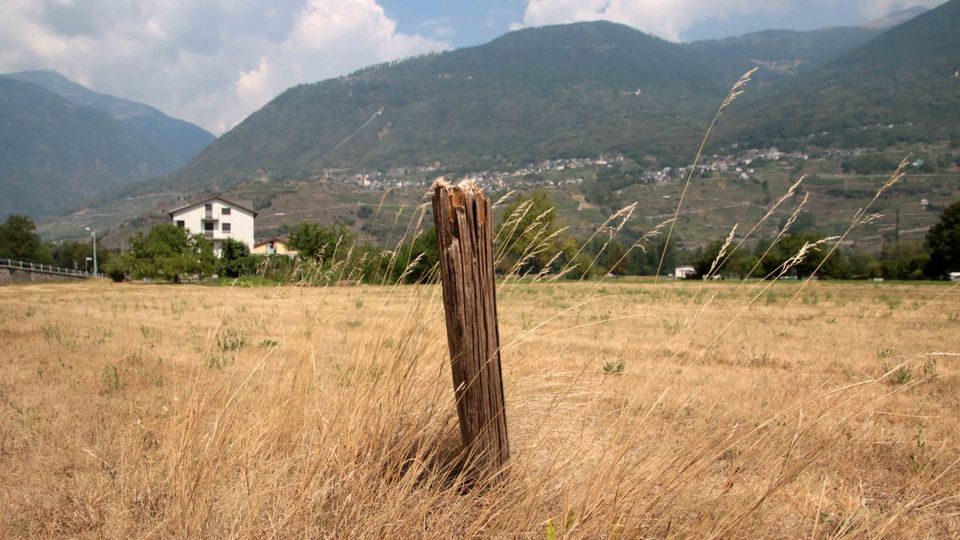 A Sondrio 37,5 gradi nel luglio più caldo. Le riserve d’acqua ridotte del 65% A Sondrio 37,5 gradi nel luglio più caldo. Le riserve d’acqua ridotte del 65%