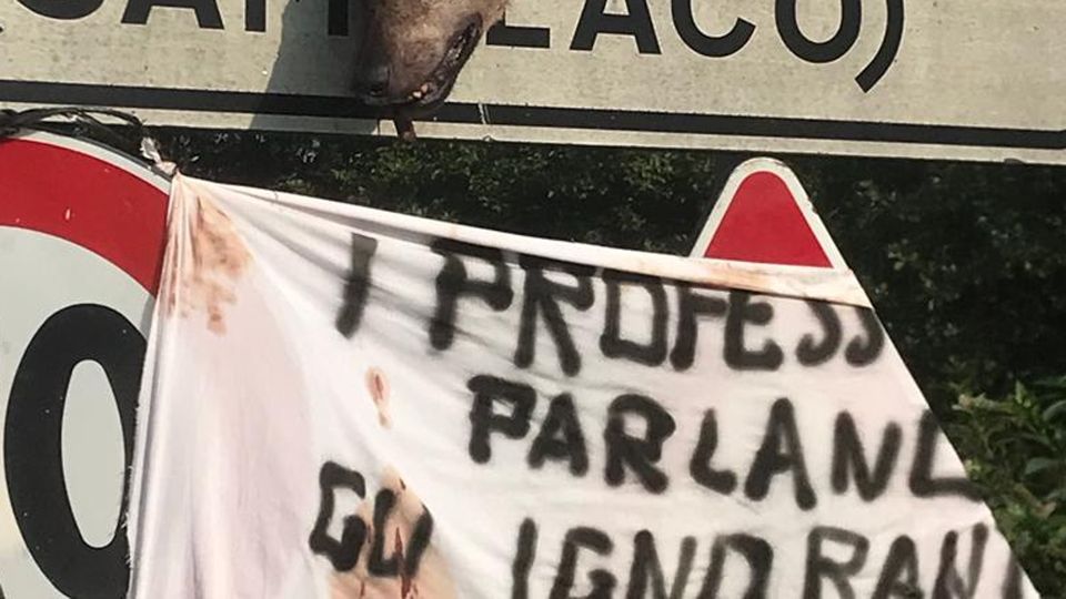Aumentata la taglia per chi ha decapitato il lupo. «Il cerchio si stringe» Aumentata la taglia per chi ha decapitato il lupo. «Il cerchio si stringe»