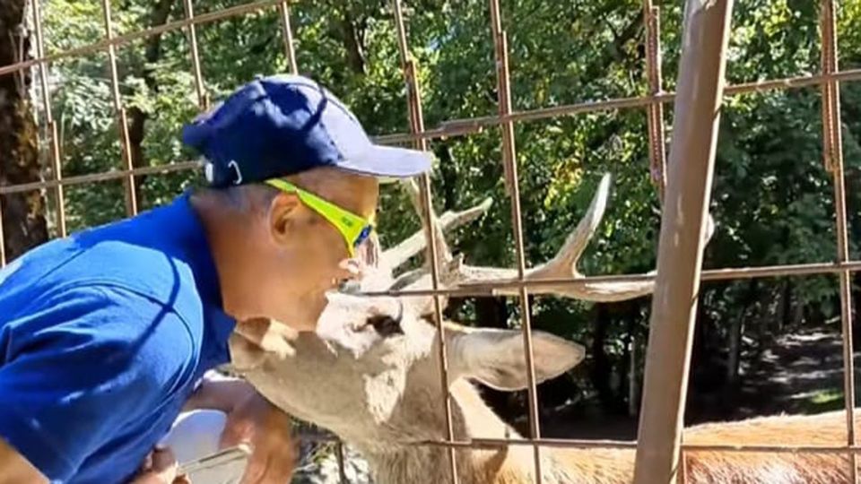 Bambi ha rivisto il suo “papà”: che accoglienza Bambi ha rivisto il suo “papà”: che accoglienza